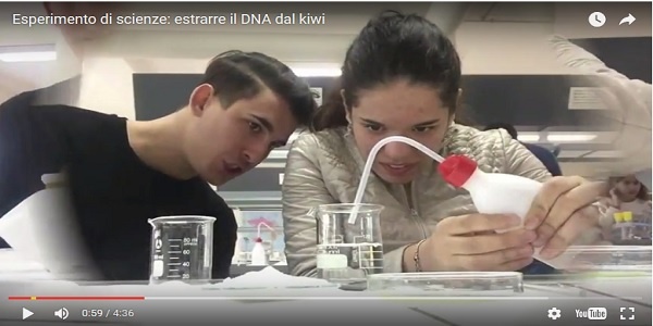 Il kiwi e la 5° F, alla ricerca del DNA