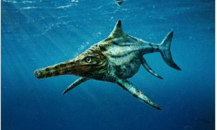 Ittiosauri, il mistero dei sauri marini