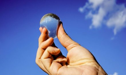 Bottiglie di plastica sostituite da gelatina trasparente… sarà vero?